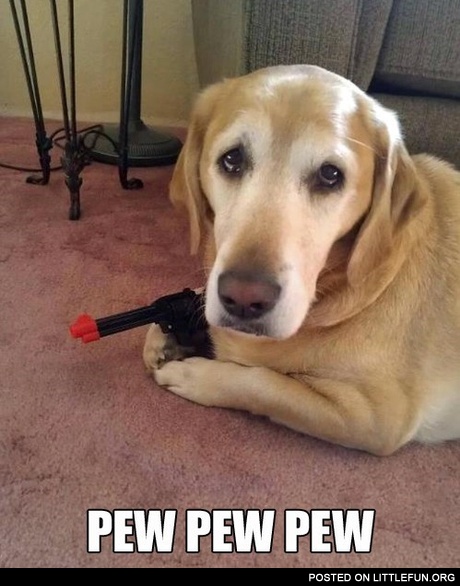 Pew pew pew