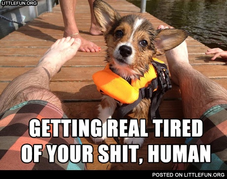 Gettin real tired of your sh*t, human