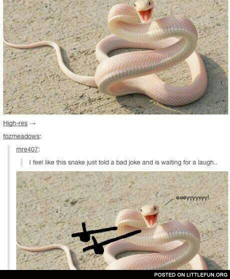 This snake just told a bad joke