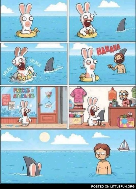 Shark