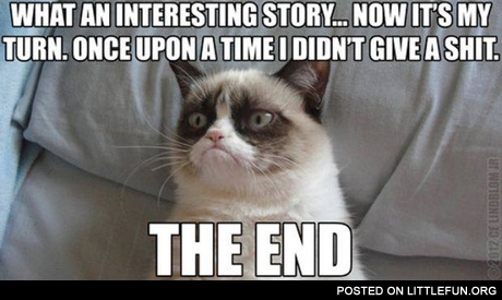Grumpy cat don't give a sh*t
