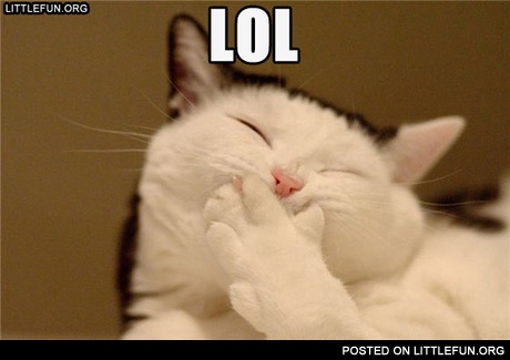 LOL cat