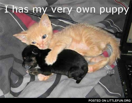 I has my very own puppy