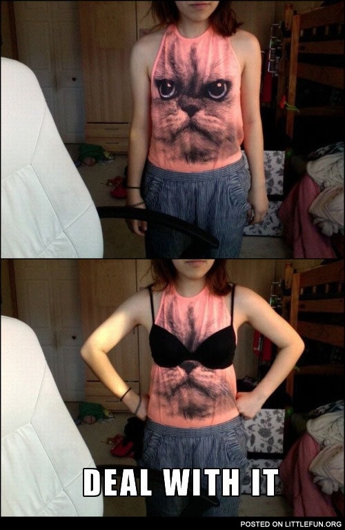 Cat shirt with bra, deal with it