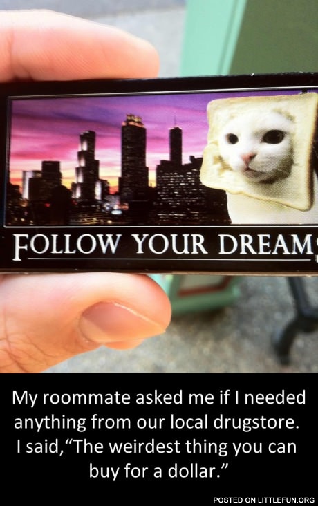 Follow your dream