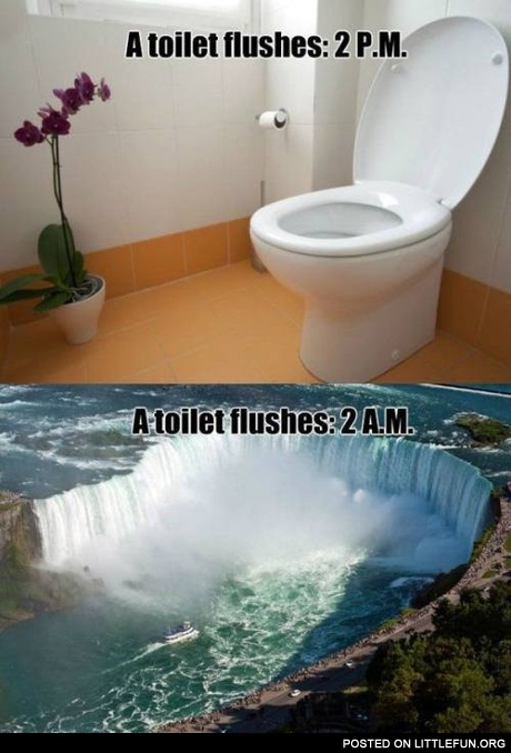 A toilet flushes