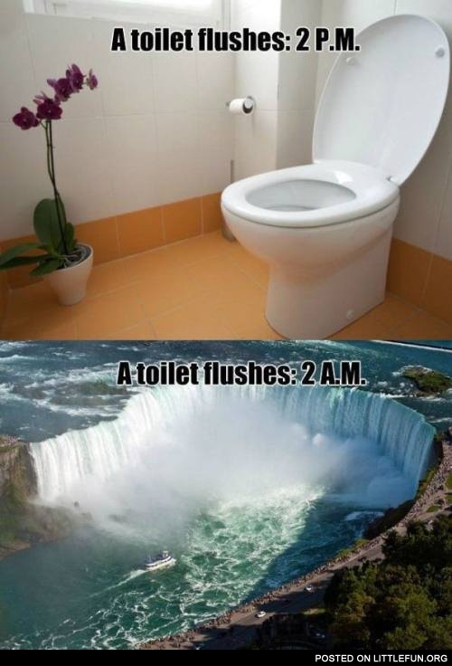A toilet flushes