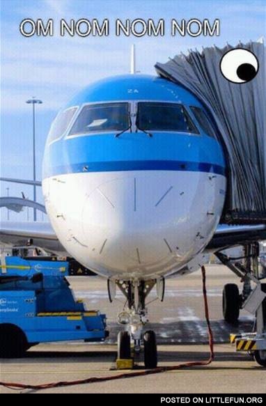 Om nom nom nom airplane