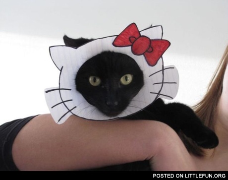 Hello kitty