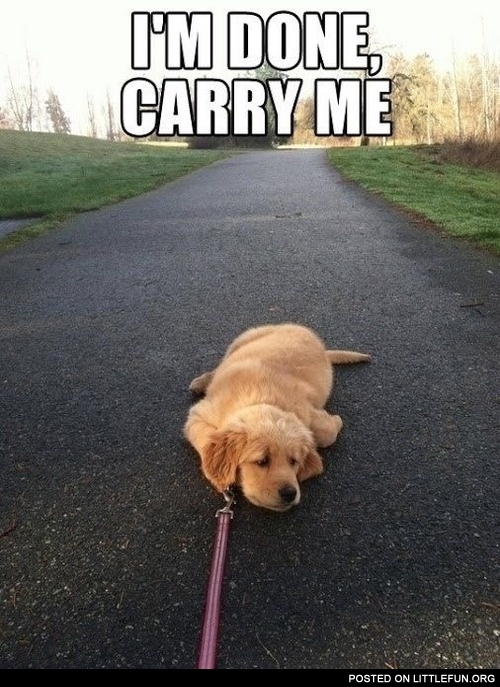 I'm done, carry me