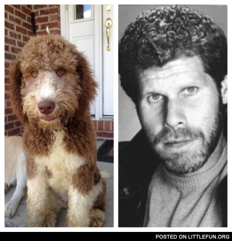 Ron Perlman