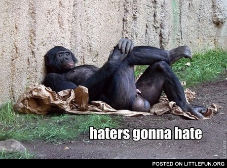 Haters gonna hate