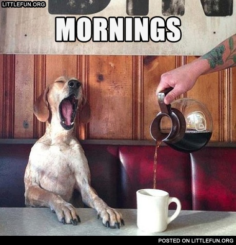 Mornings