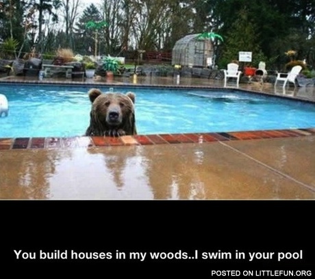 You build houses in my woods, I swim in your pool