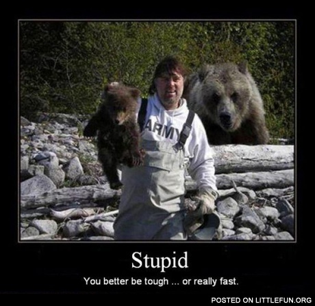 Don't mess with bears