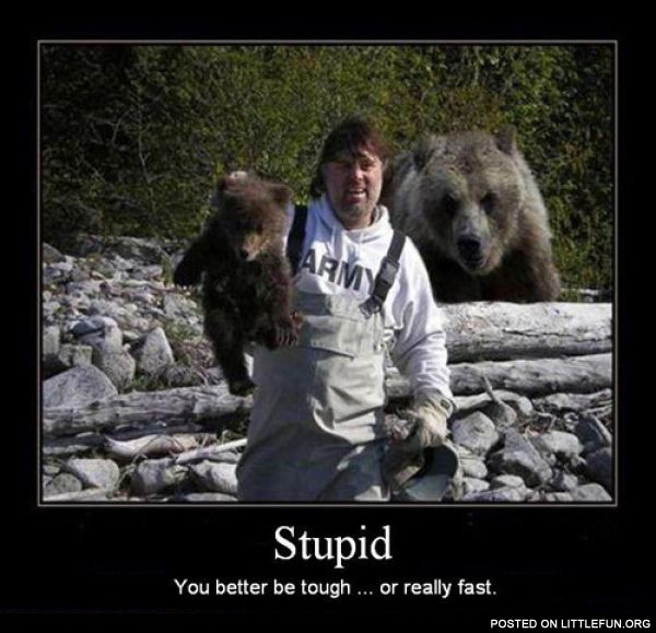 Don't mess with bears