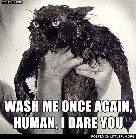 Wash me once again, human, I dare you