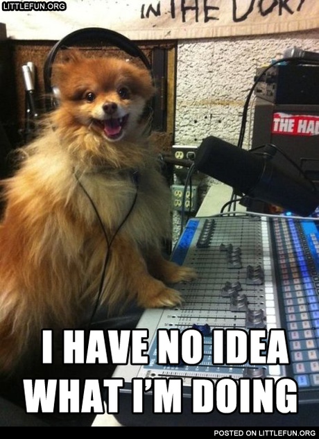I have no idea what I'm doing 