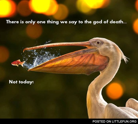 Not today