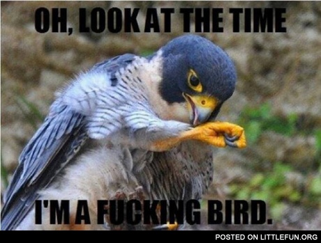 Look at the time