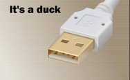 Duck USB