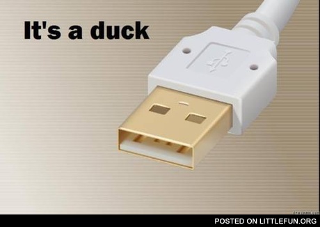 Duck USB