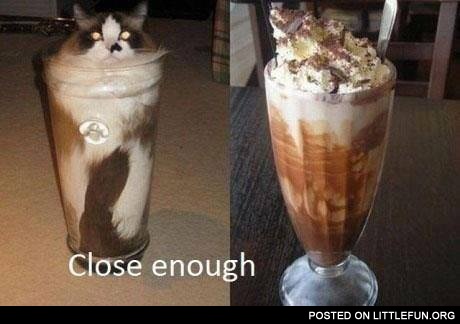 Cat cocktail