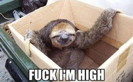 High sloth
