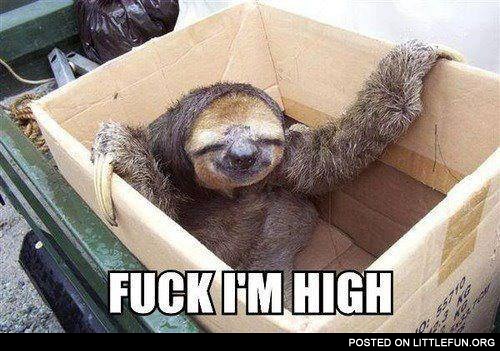 High sloth