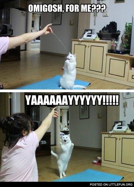 Omgosh, for me?