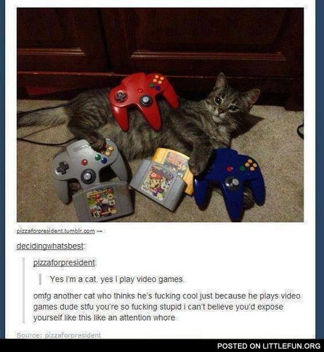 Cat gamer