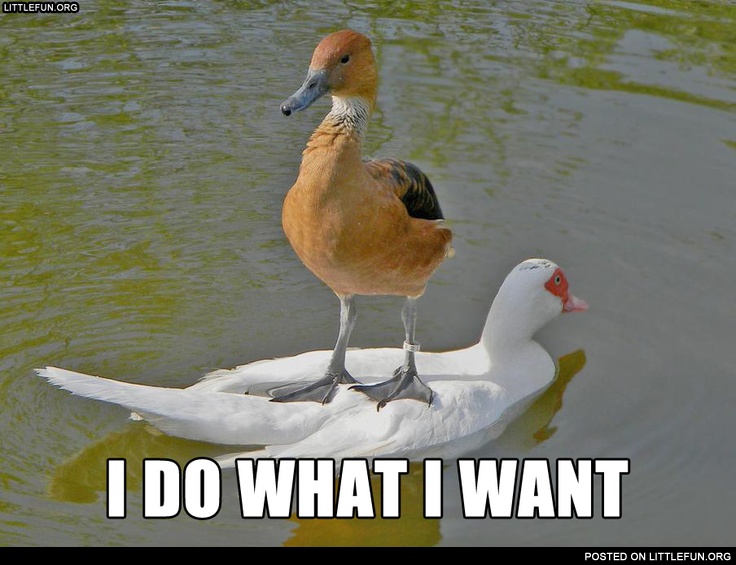 I do what I want. Boss duck.