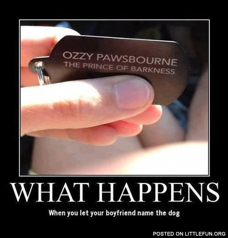 Ozzy Pawsbourne