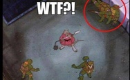WTF? Ninja Turtles.