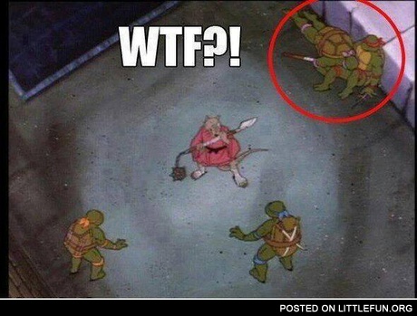 WTF? Ninja Turtles.