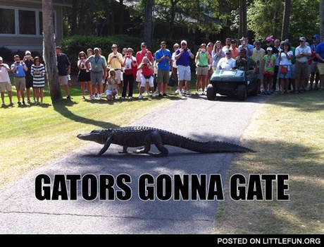 Gators gonna gate