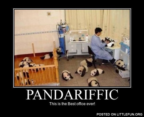 Pandariffic, this is the best office ever