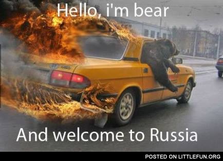 Hello, I'm bear and welcome to Russia