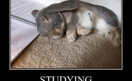 Studying