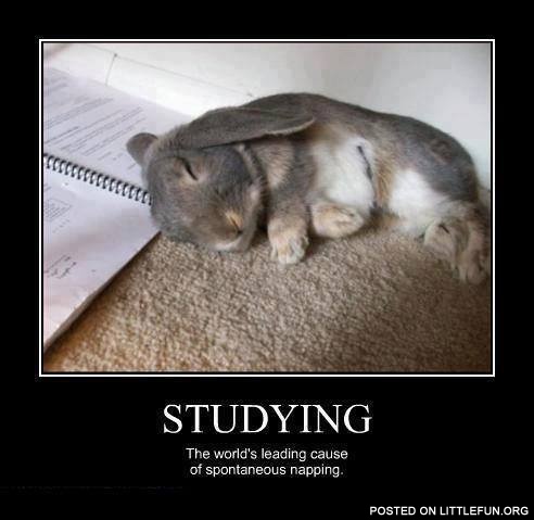 Studying