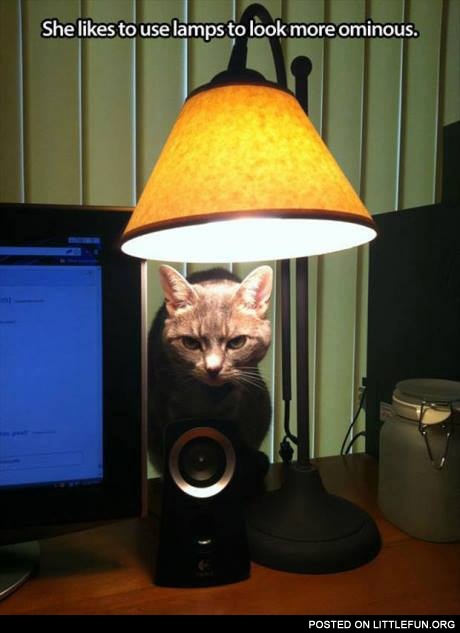 Ominous cat