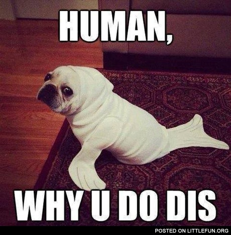 Human, y u do dis