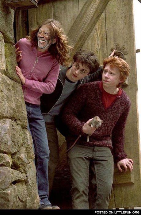 Morgan Freeman in Harry Potter