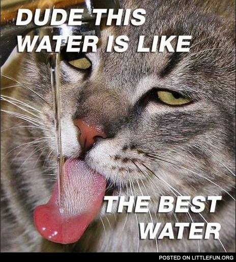 Dude, this water is like the best water