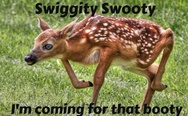 Swiggity swooty I'm coming for that booty