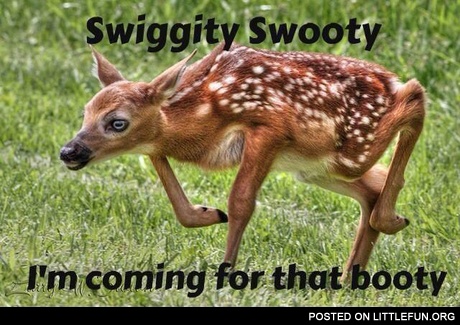 Swiggity swooty I'm coming for that booty