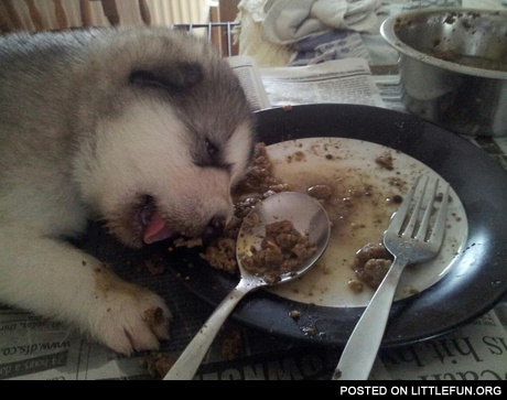 I'm full