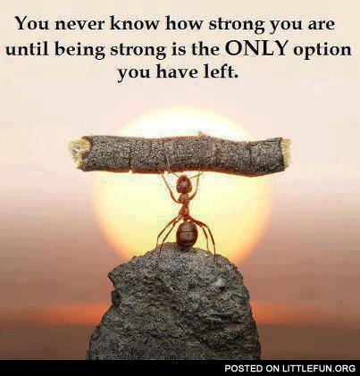 You never know how strong are you
