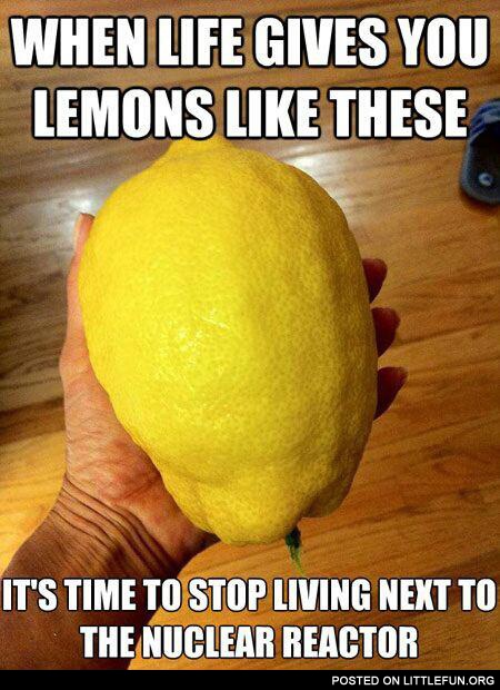 When life gives you lemons like these