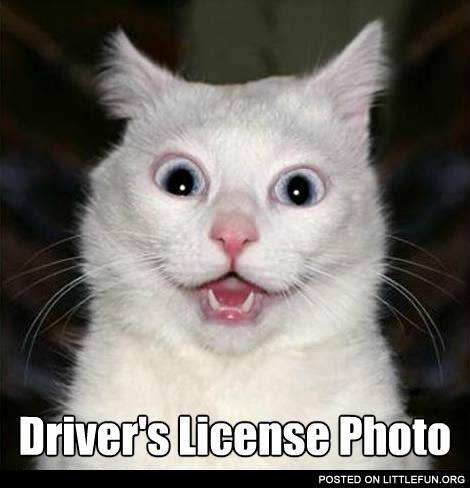 Driver's license photo